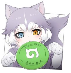 Rule 34 | 1girl, animal ears, blue eyes, brown eyes, closed mouth, dog (mixed breed) (kemono friends), dog ears, dog tail, elbow gloves, fang, frisbee, gloves, grey hair, heterochromia, japari symbol, kemono friends, looking at viewer, mouth hold, multicolored hair, nyifu, short hair, solo, tail, translation request, white gloves, white hair