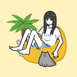 Rule 34 | 1girl, bare legs, barefoot, black eyes, black hair, cat, flat color, grey cat, highres, knees up, leaf, long hair, looking at viewer, miyoshi yoshimi, original, plant, potted plant, print shirt, shirt, simple background, sitting, smile, solo, white shirt, yellow background