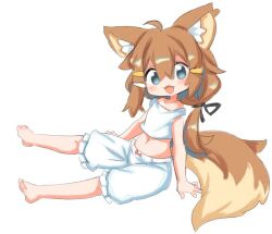 Rule 34 | 1girl, animal ears, bad id, bad twitter id, bloomers, blue eyes, dog boy, dog ears, dog tail, female focus, hair between eyes, looking at viewer, low ponytail, midriff, navel, open mouth, original, rori (4chan), simple background, sitting, solo, tail, underwear, white background