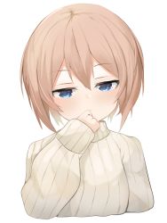 Rule 34 | absurdres, bimmy, blanc, blanc (neptunia), blue eyes, breasts, brown hair, collar, embarrassed, flustered, frown, hand over mouth, highres, neptune (series), short hair, simple background, small breasts, sweater, vvvtune, white background