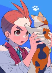 Rule 34 | 1boy, ace attorney, animal, antenna hair, apollo justice, blue background, blue necktie, blush, brown eyes, brown hair, cat, collared shirt, fingernails, hands up, highres, holding, holding animal, holding cat, lapel pin, lapels, male focus, mikeko (ace attorney), necktie, open mouth, ouse (otussger), paw print, portrait, red vest, shirt, short hair, simple background, sleeves rolled up, solo, sweat, thick eyebrows, vest, white shirt