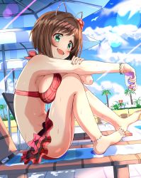 Rule 34 | 1girl, animal ears, ankle cuffs, armpits, ass, bare legs, bare shoulders, barefoot, beach umbrella, bikini, bird, blush, bow, breast press, breasts, brown hair, cat ears, chair, cloud, commentary request, day, fake animal ears, fang, fence, flower, green eyes, hair flower, hair ornament, haruki (haruki678), highres, idolmaster, idolmaster cinderella girls, large breasts, lens flare, light rays, looking at viewer, lotion, lounge chair, maekawa miku, navel, open mouth, outdoors, outstretched arm, plaid, plaid bikini, plant, pool, poolside, shade, shadow, short hair, sitting, sky, solo, sunbeam, sunlight, sunscreen, sweat, swimsuit, tile floor, tiles, tree, ueki-chan, umbrella, water, wristband