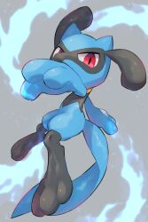 Rule 34 | aura, black fur, blue fur, blue tail, creatures (company), game freak, gen 4 pokemon, grey background, highres, looking at viewer, nintendo, no humans, nullma, open mouth, pokemon, pokemon (creature), red eyes, riolu, simple background, solo, two-tone fur