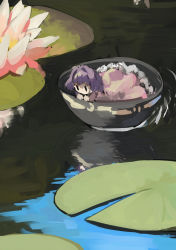Rule 34 | 1girl, absurdres, bowl, full body, highres, in container, japanese clothes, kimono, lily pad, looking down, mini person, minigirl, nanashi nasi, outdoors, purple hair, red kimono, reflection, reflective water, short hair, solid oval eyes, solo, sukuna shinmyoumaru, touhou