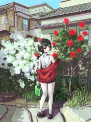 Rule 34 | 1girl, absurdres, black footwear, black shorts, blue sky, building, day, flower, from behind, highres, holding, holding watering can, house, jacket, okura lino, original, outdoors, red flower, red jacket, scenery, shirt, short hair, shorts, sky, solo, urban, watering can, white flower, white shirt
