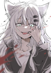 Rule 34 | 1girl, animal ears, arknights, bandaid, bandaid on neck, black jacket, blood, blue eyes, collarbone, commentary request, finger in own mouth, hair between eyes, hair ornament, hairclip, highres, jacket, lappland (arknights), long hair, long sleeves, looking at viewer, mito (go!go!king!), mouth pull, open clothes, open jacket, sharp teeth, shirt, simple background, solo, teeth, tongue, tongue out, upper body, very long hair, white background, white hair, white shirt, wide sleeves