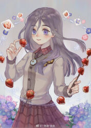 Rule 34 | 1girl, buttons, closed mouth, commentary request, flower, food, fruit, grey hair, harry potter: magic awakened, harry potter (series), highres, holding, holding food, holding wand, ivy warrington, jewelry, long hair, long sleeves, mian mie, necklace, purple eyes, purple flower, red skirt, skirt, smile, solo, straight hair, strawberry, sweater, wand, white sweater, wizarding world