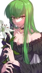 Rule 34 | 1girl, absurdres, black collar, black dress, black ribbon, breasts, c.c., cleavage, code geass, collar, collarbone, dress, flower, green hair, hair between eyes, hair ribbon, highres, holding, holding flower, lily (flower), long hair, long sleeves, medium breasts, off-shoulder dress, off shoulder, parted lips, poro uma, ribbon, simple background, solo, sparkle, upper body, white background, white flower, yellow eyes