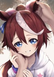 Rule 34 | 1girl, absurdres, aged down, animal ears, blue eyes, blush, bow, brown hair, buttons, collarbone, commentary request, double-breasted, ear ribbon, grin, hair between eyes, hair flaps, hand on another&#039;s cheek, hand on another&#039;s face, headpat, high ponytail, highres, hinamayo, hood, hood down, hoodie, horse ears, horse girl, huge filesize, long hair, looking at viewer, multicolored hair, pov, pov hands, shade, sidelocks, smile, solo focus, standing, star (symbol), star print, streaked hair, teeth, tokai teio (umamusume), two-tone hair, umamusume, upper body, white hair, white hoodie