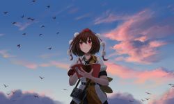 Rule 34 | 1girl, absurdres, belt, bird, black belt, black ribbon, blue sky, book, brown hair, camera, camera around neck, chinese commentary, closed mouth, cloud, cloudy sky, collared shirt, commentary request, fasnakegod, hair between eyes, hat, hauchiwa, highres, holding, holding book, holding pen, medium hair, neck ribbon, no wings, open book, outdoors, pen, pom pom (clothes), print shirt, puffy short sleeves, puffy sleeves, red eyes, red hat, red tassel, ribbon, scenery, shameimaru aya, shirt, short sleeves, skirt, skirt set, sky, solo, tassel, tokin hat, touhou, twilight, white shirt