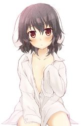 Rule 34 | 1girl, animal ears, bad id, bad pixiv id, black hair, blush, brown eyes, collarbone, highres, inaba tewi, long sleeves, looking at viewer, naked shirt, nnyara, open clothes, open shirt, rabbit ears, shirt, sitting, sleeves past wrists, solo, thighs, touhou