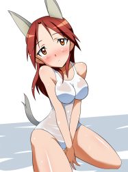 Rule 34 | 1girl, animal ears, blush, breasts, highres, kneeling, long hair, medium breasts, minna-dietlinde wilcke, one-piece swimsuit, orange eyes, red hair, solo, strike witches, swimsuit, tail, wet, wet clothes, world witches series, yumekaranigeruna