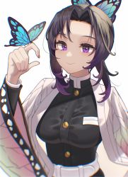Rule 34 | 1girl, absurdres, bad id, bad pixiv id, belt, blue butterfly, breasts, bug, butterfly, butterfly hair ornament, butterfly on hand, buttons, closed mouth, colored tips, gradient hair, hair intakes, hair ornament, hand up, haori, highres, insect, japanese clothes, kimetsu no yaiba, kochou shinobu, long sleeves, looking at animal, medium breasts, medium hair, multicolored hair, neil (neil nim), purple eyes, purple hair, school uniform, sidelocks, smile, solo, upper body, white belt, wide sleeves