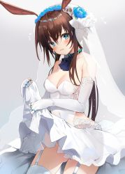 Rule 34 | 1girl, alternate costume, amiya (arknights), animal ears, arknights, ascot, bare shoulders, blue eyes, blue flower, blush, breasts, bridal veil, brown hair, choker, cleavage, clothes lift, commentary request, dress, dress lift, flower, garter straps, gloves, grey background, hair between eyes, highres, infection monitor (arknights), jewelry, lifting own clothes, long hair, looking at viewer, medium breasts, parted lips, partially fingerless gloves, rabbit ears, ring, smile, solo, strapless, strapless dress, thighhighs, togo (korlsj1235), veil, wedding dress, white gloves, white thighhighs