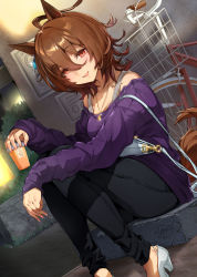 Rule 34 | 1girl, absurdres, agnes tachyon (umamusume), ahoge, animal ears, artist logo, artist name, bag, bicycle, black legwear, breasts, brown hair, bush, cleavage, cup, disposable cup, dutch angle, earrings, feet out of frame, glint, handbag, high heels, highres, holding, holding cup, horse ears, horse girl, horse tail, jewelry, looking at viewer, medium breasts, medium hair, night, off-shoulder shirt, off shoulder, open mouth, orange eyes, outdoors, pendant, purple shirt, ring, shirt, single earring, sitting, smile, solo, tail, umamusume, wedding ring, white legwear, yanyo (ogino atsuki)