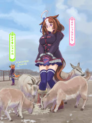 Rule 34 | 2girls, 4others, goat, highres, meisho doto (umamusume), multiple girls, multiple others, tagme, taiki shuttle (umamusume), ugai yuichi