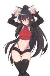 Rule 34 | 1girl, animal ear fluff, animal ears, arms up, black choker, black hair, black jacket, black panties, black shorts, black thighhighs, breasts, choker, closed mouth, commission, crop top, cropped jacket, extra ears, frown, hair between eyes, halterneck, highleg, highleg panties, highres, jacket, long hair, long sleeves, looking at viewer, micro shorts, midriff, navel, open clothes, open fly, open jacket, original, panties, paw pose, pointy ears, ponytail, red eyes, red shirt, revealing clothes, second-party source, shirt, shorts, simple background, skindentation, sleeveless, sleeveless shirt, small breasts, solo, stomach, string panties, supernew, thigh gap, thighhighs, thighs, underwear, v-shaped eyebrows, very long hair, white background, wolf ears