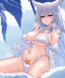 Rule 34 | 1girl, absurdres, animal ear fluff, animal ears, azur lane, bare shoulders, bikini, blue eyes, blush, breasts, closed mouth, fox ears, fox girl, fox tail, highres, kuwahara taiki, large breasts, legs apart, long hair, looking at viewer, multiple tails, navel, off shoulder, official alternate costume, outdoors, shinano (azur lane), shinano (dreamy white sands) (azur lane), sitting, solo, starfish, stomach, swimsuit, tail, thighs, underboob, wariza, water, wet, white bikini, white hair
