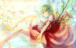 Rule 34 | 1girl, bad id, bad pixiv id, bare legs, barefoot, female focus, green hair, kazami yuuka, looking at viewer, open clothes, open vest, petals, red eyes, shirt, short hair, silentdin, sitting, skirt, smile, solo, touhou, twig, vest