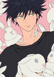 Rule 34 | 1boy, animal, animal ears, bandage on neck, bandages, black hair, black shirt, blush, closed mouth, frown, fushiguro megumi, green eyes, hair between eyes, holding, holding animal, jujutsu kaisen, kukig8765, looking to the side, male focus, pink background, rabbit, rabbit ears, shirt, short hair, simple background, spiked hair, symbol-only commentary, too many, too many rabbits, upper body