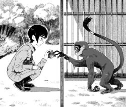 Rule 34 | 1girl, alien, apple, aremoyou, boots, cage, collared jumpsuit, commentary request, day, feeding, foliage, food, from side, fruit, greyscale, hand on own knee, highres, holding, holding food, holding fruit, jumpsuit, long sleeves, looking at animal, monkey, monochrome, original, outdoors, parted lips, profile, reaching, shadow, short hair, solo, squatting, tree, wide shot, zoo