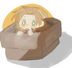 Rule 34 | 1boy, box, brown hair, brown jacket, cardboard box, chinese commentary, commentary request, dog boy, doggystyle, green eyes, grey shirt, in box, in container, jacket, kemonomimi mode, looking at viewer, male focus, mini person, miniboy, no sclera, open clothes, open jacket, open mouth, parted bangs, saibou shinkyoku, sex from behind, shinano eiji, shirt, short hair, solo, withoutanid