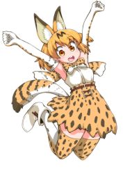Rule 34 | 10s, 1girl, :d, animal ears, arms up, belt, blonde hair, boots, bow, bowtie, breasts, cat ears, cat tail, elbow gloves, gloves, high-waist skirt, highres, jumping, kemono friends, medium breasts, miniskirt, moyamu, open mouth, outstretched arms, serval (kemono friends), serval print, serval tail, shirt, skirt, sleeveless, sleeveless shirt, smile, solo, tail, thighhighs, yellow eyes, zettai ryouiki