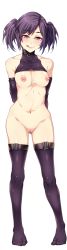 Rule 34 | 1girl, :q, arms behind back, blush, breasts, elbow gloves, feet, female focus, full body, functionally nude, game cg, gloves, groin, highres, leash, legs, legs apart, licking, licking lips, looking at viewer, medium breasts, mizuryu kei, naughty face, navel, nipples, no panties, original, pink eyes, purple hair, pussy, simple background, smile, solo, souma kurumi, standing, tachi-e, teisou kannen zero, thighhighs, thighs, tongue, tongue out, transparent background, twintails, uncensored