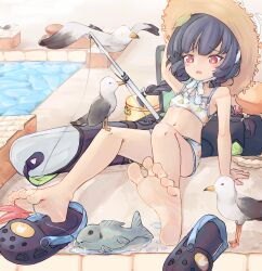 Rule 34 | 1girl, bare arms, bare legs, barefoot, bird, blue archive, chaosexceed, crocs, feet, fish, fishing rod, foot focus, frown, full body, hat, highres, miyu (blue archive), miyu (swimsuit) (blue archive), navel, no shoes, no socks, open mouth, purple hair, red eyes, seagull, soles, straw hat, swimsuit, toes