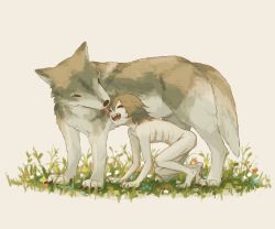 Rule 34 | 1boy, :d, absurdres, all fours, avogado6, barefoot, brown hair, commentary request, completely nude, flower, from side, grass, highres, licking, licking another&#039;s face, missing tooth, nude, open mouth, original, simple background, skinny, smile, white background, white flower, wolf