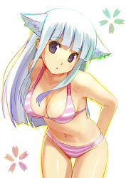 Rule 34 | 00s, 1girl, 2006, animal ears, bikini, blush, breasts, cat ears, cat girl, cleavage, female focus, freckles, hime cut, koutaro, long hair, lowres, original, pink bikini, purple eyes, simple background, solo, standing, straight hair, striped bikini, striped clothes, swimsuit, white background, white hair