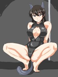Rule 34 | 1girl, adolfine galland, animal ears, arms behind back, black one-piece swimsuit, blush, breasts, brown hair, cameltoe, cat ears, cat girl, cat tail, cleavage, covered erect nipples, female focus, front zipper swimsuit, grey eyes, kunashiri (etorofu), large breasts, long hair, meme attire, one-piece swimsuit, pole, pole dancing, solo, spread legs, squatting, strike witches, stripper pole, sweat, swimsuit, tail, world witches series