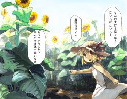 Rule 34 | 1girl, aged down, bad id, bad pixiv id, blonde hair, day, dress, female focus, flower, hat, kirisame marisa, kirusu, nature, outdoors, plant, simple background, sky, solo, sundress, sunflower, touhou, translation request, white background