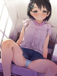 Rule 34 | 1girl, black hair, blue bow, blue panties, blue skirt, blush, bow, collared shirt, commentary request, day, dress shirt, dutch angle, feet out of frame, grey eyes, grin, hair bow, hair ornament, hairclip, highres, idolmaster, idolmaster cinderella girls, indoors, looking at viewer, panties, pleated skirt, purple shirt, rabbit hair ornament, sasaki chie, seneto, shirt, short hair, sitting, skirt, smile, solo, spread legs, sunlight, sweat, underwear, window