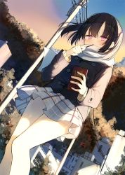 Rule 34 | 1girl, bare legs, black jacket, blush, brown hair, building, dutch angle, eating, feet out of frame, food, hand up, holding, holding food, jacket, kamizaki hibana, layered clothes, long sleeves, looking at viewer, original, outdoors, plaid, plaid skirt, pleated skirt, pocky, purple eyes, scarf, school uniform, short hair, short twintails, skirt, solo, sweater, tan sweater, thighs, torii, twintails, walking, white scarf