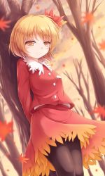Rule 34 | 1girl, aki shizuha, arms behind back, autumn, autumn leaves, black pantyhose, blonde hair, commentary request, falling leaves, forest, hair ornament, highres, leaf, leaf hair ornament, light smile, looking at viewer, lzh, nature, pantyhose, red shirt, shirt, short hair, skirt, skirt set, solo, touhou, tree, yellow eyes