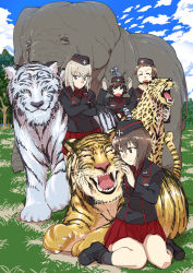 Rule 34 | 4girls, ;), animal, animal on head, ankle boots, black eyes, black footwear, black hair, black headwear, black jacket, black legwear, blue eyes, blue sky, boots, brown eyes, brown hair, closed eyes, closed mouth, cloud, cloudy sky, commentary, crossed arms, day, dress shirt, elephant, frown, garrison cap, girls und panzer, grass, hat, headpat, insignia, itsumi erika, jacket, kojima emi, kuromorimine military uniform, long sleeves, looking at another, looking at viewer, mauko (girls und panzer), medium hair, military, military hat, military uniform, miniskirt, mouse (animal), multiple girls, nishizumi maho, on head, one eye closed, open mouth, outdoors, panther, pleated skirt, red shirt, red skirt, shirt, short hair, silver hair, sitting, skirt, sky, smile, socks, standing, tiger, tsuru (clainman), uniform, very short hair, wariza, wing collar