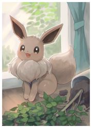 Rule 34 | :d, border, brown eyes, commentary request, creatures (company), curtains, eevee, full body, game freak, gen 1 pokemon, highres, indoors, kikuyoshi (tracco), nintendo, no humans, open mouth, plant, pokemon, pokemon (creature), potted plant, signature, sitting, smile, soil, solo, spill, toes, tongue, white border, wooden floor