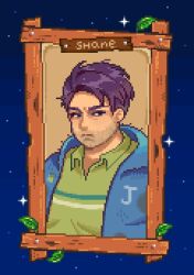 Rule 34 | 1boy, blue eyes, blue jacket, blue sky, character name, closed mouth, collared shirt, commentary, english commentary, facial hair, frown, green shirt, highres, jacket, leaf, looking at viewer, male focus, mimpish, open clothes, open jacket, picture frame, pixel art, portrait, purple hair, shane (stardew valley), shirt, short bangs, sky, solo, star (sky), stardew valley, starry sky, stubble
