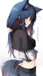 Rule 34 | 1girl, absurdres, adjusting hair, animal ears, arknights, black capelet, blue hair, blush, butt crack, capelet, colored inner hair, cowboy shot, extra ears, flying sweatdrops, highres, long sleeves, looking at viewer, looking back, multicolored hair, parted lips, red hair, shirt, simple background, solo, tab head, texas (arknights), translation request, two-tone hair, white background, white shirt, wolf ears, wolf girl, yellow eyes