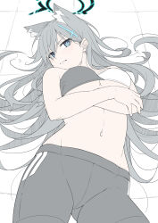 Rule 34 | 1girl, animal ear fluff, animal ears, blue archive, blue eyes, blush, breasts, closed mouth, cross hair ornament, grey hair, grey pants, hair ornament, halo, highres, long hair, looking at viewer, lying, masabodo, medium breasts, midriff, navel, on back, pants, shiroko (blue archive), shiroko terror (blue archive), solo, stomach, yoga pants