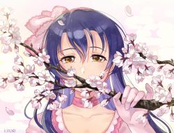 Rule 34 | 10s, 1girl, artist name, blue hair, bow, branch, brown eyes, cherry blossoms, choker, gloves, hair between eyes, hair bow, half-closed eyes, holding, holding branch, kino-maru inu, long hair, looking at viewer, love live!, love live! school idol festival, love live! school idol project, petals, pink bow, pink choker, pink gloves, pinky out, portrait, shiranai love oshiete love, solo, sonoda umi, upper body