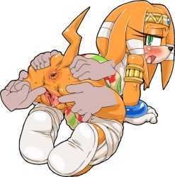 Rule 34 | 1girl, anus, armlet, ass, blush, bracelet, circlet, furry, gaping, green eyes, jewelry, nezunezu, pussy, sonic (series), spread anus, spread pussy, tail, tikal the echidna, uncensored