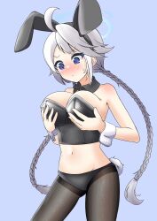 Rule 34 | 1girl, ahoge, alternate costume, animal ears, bare shoulders, belly, black hairband, black leotard, blue archive, blue background, blue eyes, blue halo, blush, braid, breast hold, breasts, confused, fake animal ears, fake tail, grey hair, hairband, halo, highleg, highleg leotard, highres, kirino (blue archive), large breasts, leotard, long hair, looking at breasts, midunamisakura, navel, pantyhose, playboy bunny, rabbit ears, rabbit tail, simple background, standing, sweat, swept bangs, tail, twin braids, twintails, very long hair