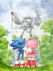 Rule 34 | 1boy, 1girl, amy rose, dress, e-102 gamma, finik, flicky (character), flower, full body, furry, furry female, gloves, grass, highres, moss, red dress, red footwear, shoes, signature, sneakers, sonic (series), sonic adventure, sonic the hedgehog, statue, white gloves, yellow flower