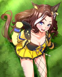 Rule 34 | 1girl, absurdres, animal ears, blue eyes, blush, breasts, brown hair, cleavage, collarbone, daring heart (umamusume), gloves, grass, hair ornament, highres, horse ears, horse girl, horse tail, insein, looking at viewer, medium breasts, mole, mole on breast, open mouth, sitting, solo, tail, umamusume
