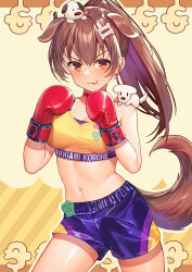 Rule 34 | 1girl, :3, animal ears, bare arms, bare shoulders, blue shorts, boxing gloves, breasts, brown hair, closed mouth, crop top, dog ears, dog girl, dog tail, hololive, inugami korone, kibanda gohan, long hair, looking at viewer, medium breasts, midriff, navel, ponytail, red eyes, short shorts, shorts, sleeveless, smile, solo, sports bra, stomach, tail, thighs, tongue, tongue out, v-shaped eyebrows, virtual youtuber