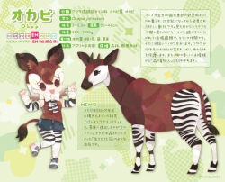 Rule 34 | 1girl, animal, animal ears, bow, bowtie, brown eyes, brown hair, character profile, elbow gloves, extra ears, gloves, kemono friends, kikuchi milo, looking at viewer, multicolored hair, necktie, okapi (animal), okapi (kemono friends), okapi ears, okapi print, okapi tail, pantyhose, shirt, shoes, short hair, shorts, simple background, sleeveless, sleeveless shirt, tail, translation request, two-tone hair, white hair