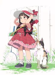 Rule 34 | 1girl, :o, animal, arms up, backpack, bag, bare arms, bare shoulders, black hair, blush stickers, bow, brown eyes, butterfly net, calico, cat, collarbone, commentary request, dress, fence, flower, frilled dress, frilled socks, frills, gomennasai, grey footwear, hand net, hands on headwear, hat, hat bow, highres, insect cage, original, parted lips, purple flower, red bow, red dress, shoes, sleeveless, sleeveless dress, socks, solo, standing, sun hat, white background, white bow, white hat, white socks, wooden fence, yellow eyes