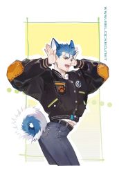 Rule 34 | animal ears, blue hair, casual, contemporary, cu chulainn (fate), denim, dog ears, dog tail, earrings, fate/stay night, fate (series), guttia, highres, jacket, jeans, jewelry, kemonomimi mode, cu chulainn (fate/stay night), long hair, pants, paw print, ponytail, red eyes, tail